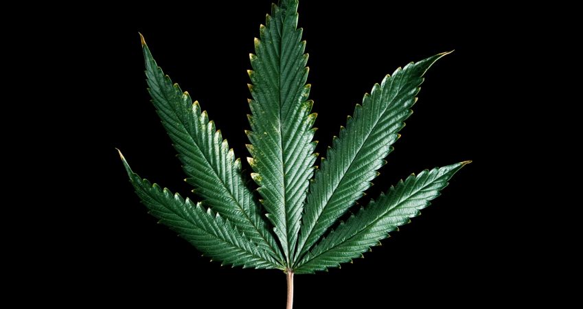 Does weed relieve pain?